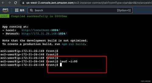 亚马逊云科技实战 AWS Linux环境配置Node.js并部署Vue粒子云文章系统